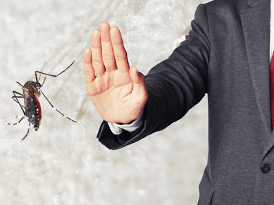 About Home Secureix Solution - pest control experts in Spokane